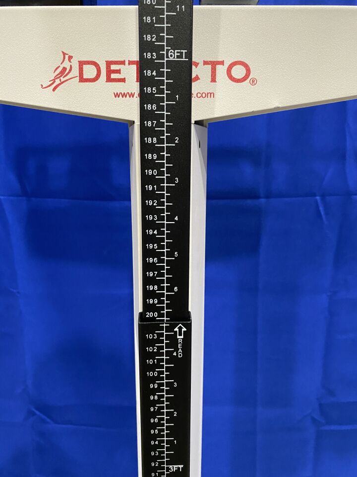 DETECTO Scale